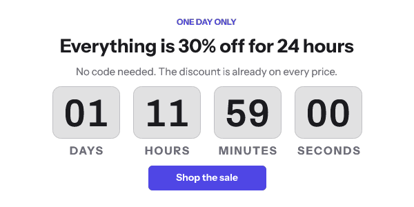 The same design at 600 by 300, with a One day only line and a sentence about the discount added.