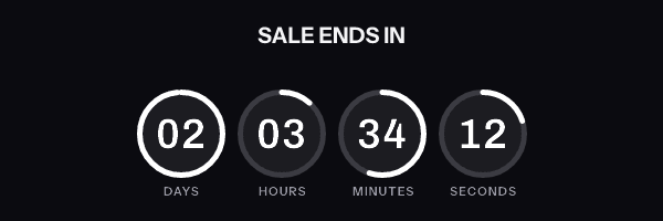The rings timer style, rendered by the EmailTimer.App engine